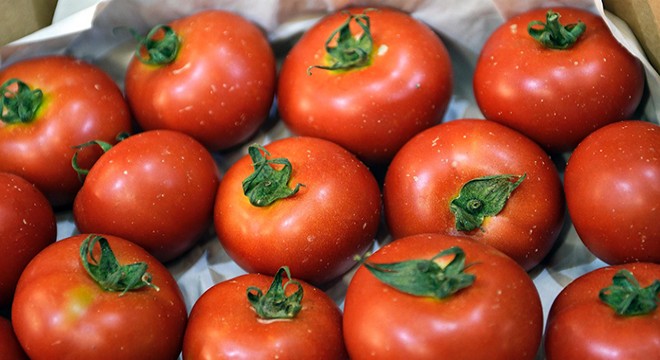 Rusya, Türk domatesinde kotayı 50 bin ton artırdı