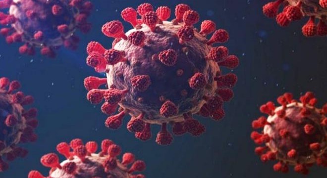 Rusya’da 17 bin 347 yeni koronavirüs vakası