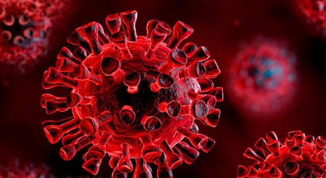Rusya’da 20 bin 977 yeni koronavirüs vakası