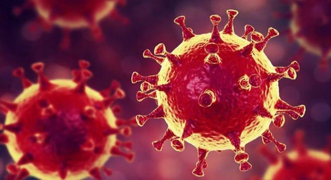 Rusya’da 24 bin 246 yeni koronavirüs vakası