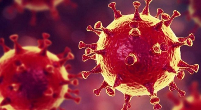 Rusya’da 6 bin 556 yeni koronavirüs vakası