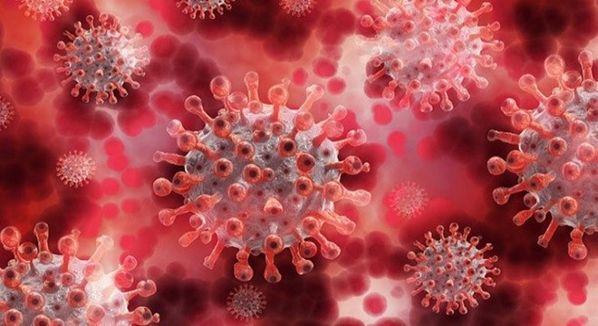 Rusya’da koronavirüs vaka sayısı 1 milyonu geçti