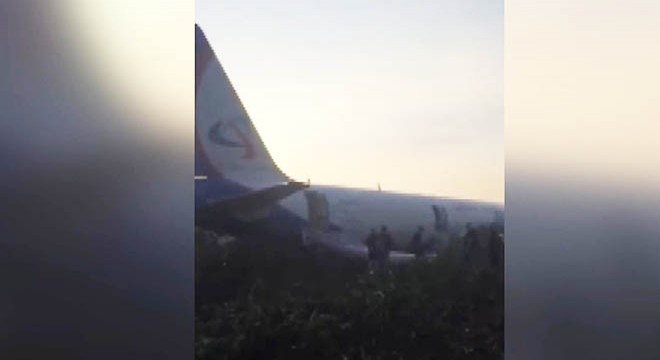 Rusya’da martı sürüsüne çarpan uçak acil iniş yaptı
