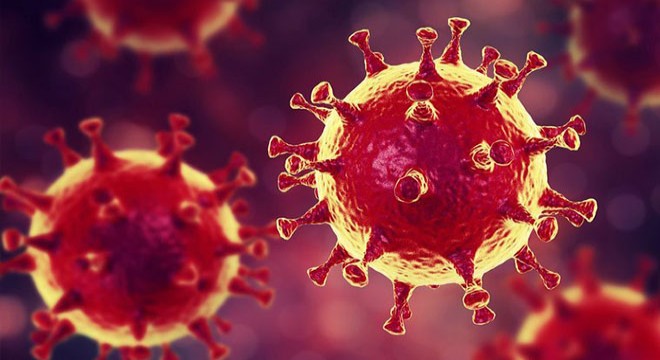 Rusya’da son 24 saatte 6 bin 248 yeni koronavirüs vakası