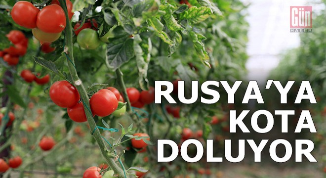 Rusya ya domates kotası doluyor