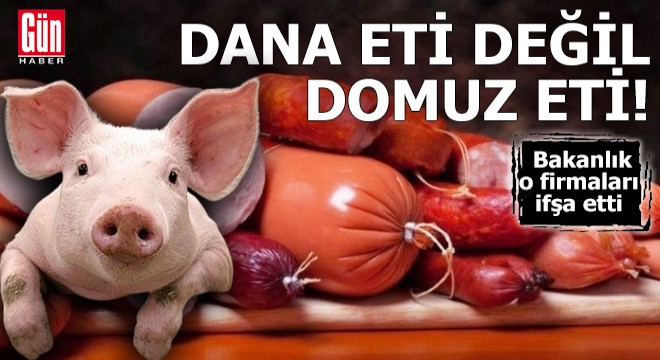 Salam, sucuk, kırmızı et ürünlerinden çıkanlar pes dedirtti