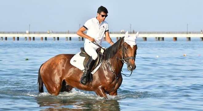 Samsun’da atlara deniz antrenman yaptırıldı