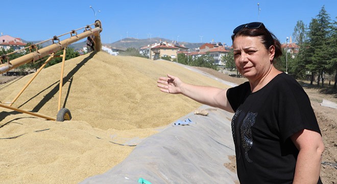 Sandıklı TMO da hububat alımı sürüyor