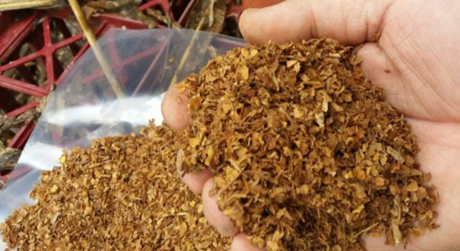 Şanlıurfa da 1,4 ton kaçak tütüne 4 gözaltı