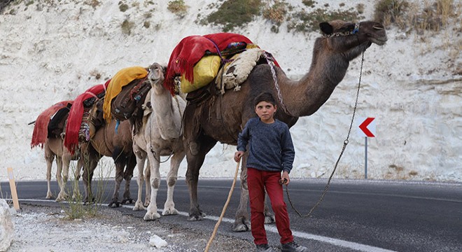 Sarıkeçili Yörüklerin develerle kış yurdu göçü başladı
