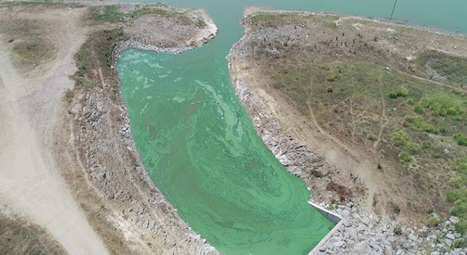 Sazlıdere Barajı nın yeşile dönen rengi tedirgin etti