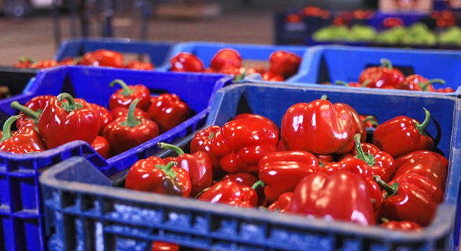Sebze ve meyvenin fiyatını  korsan komisyoncu  artırıyor