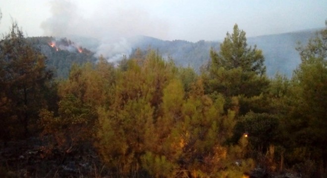 Serik te orman yangını