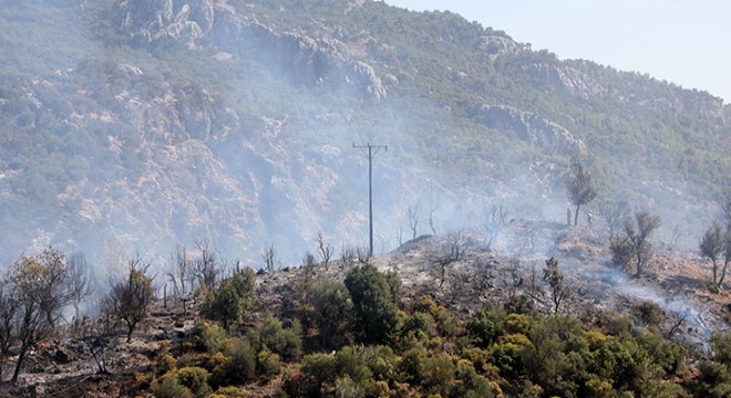 Serik te orman yangını; 5 hektar alan kül oldu
