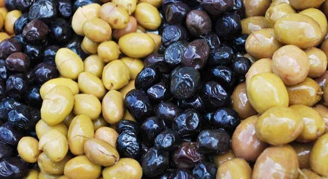 Serik te zeytin hasadı başladı