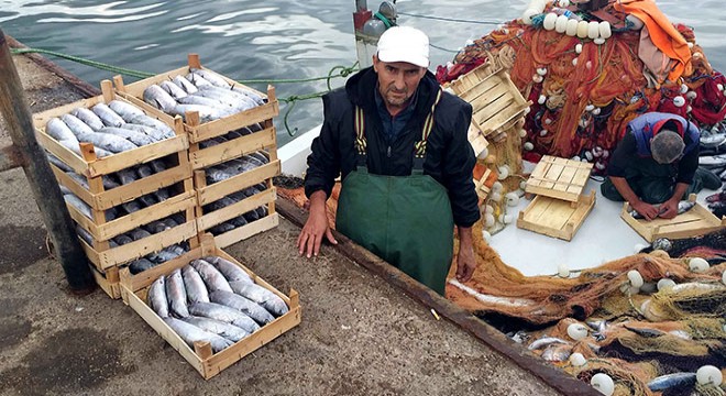 Şile de balıkçıların yüzünü palamut güldürdü