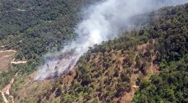 Sındırgı’daki yangında 1 hektar orman zarar gördü