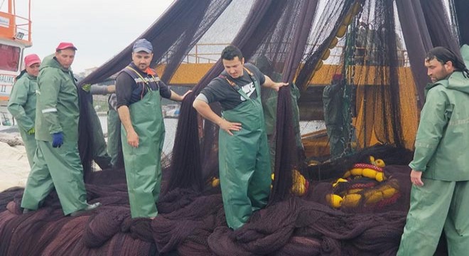 Sinoplu balıkçılar, sezonu erken kapattı