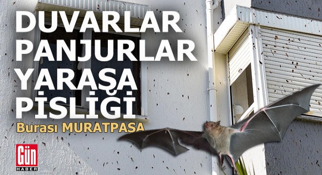Antalya da bir sitede yaşayanların  yarasa  çaresizliği
