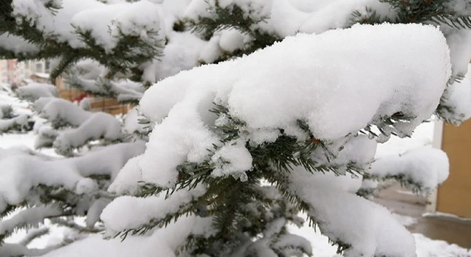 Sivas ta kar yağışı etkili oldu