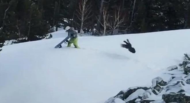 Snowboardcu, çalı horozunun saldırısına uğradı