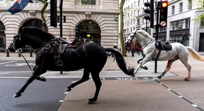 Süvari atları Londra'nın caddelerine kaçtı, yaralılar var