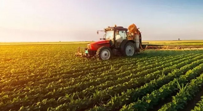 TÜİK: Tarım üretici fiyatları yıllık yüzde 58,29 arttı