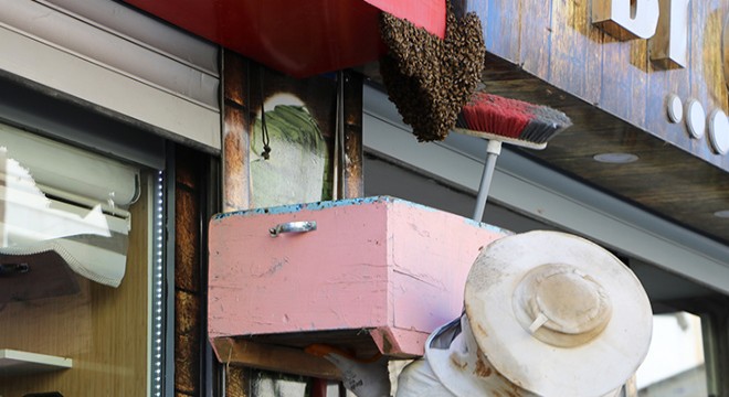 Tabelaya yuva yapan arılar yüzünden esnaf iş yerlerini açamadı