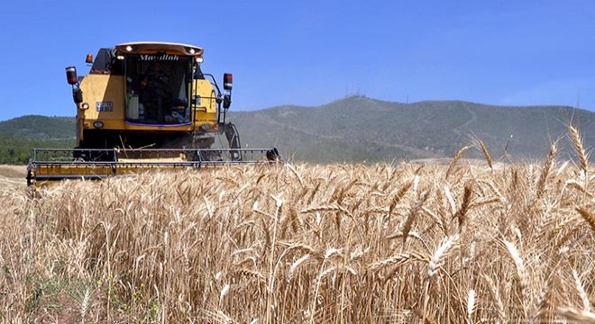 Tahıl üreticilerine  erken hasat  uyarısı