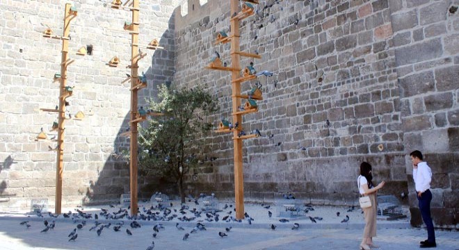 Tarihi kalede güvercinlere özel yuva