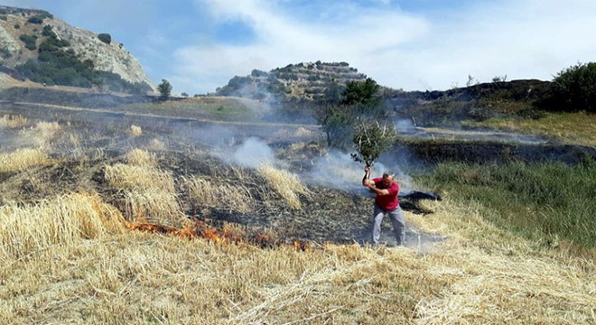Tarım arazisinde başlayan yangın ormanı da yaktı