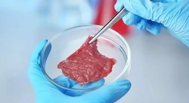 Tarım ve Orman Bakanlığı'ndan 'yapay et' açıklaması