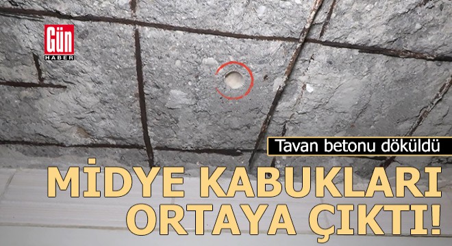 Tavan betonu döküldü; midye kabukları ortaya çıktı