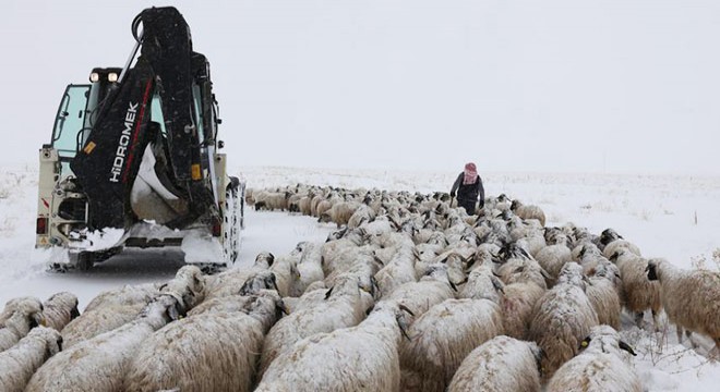 Tipide mahsur kalan 2 çoban ve koyun sürüsü kurtarıldı