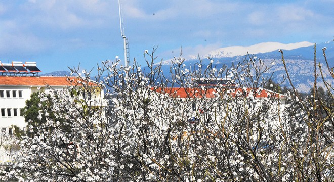 Toroslar da kar, Antalya da bahar