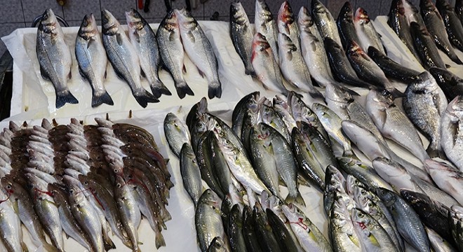 Trabzon’da kısıtlamada balığa ilgi