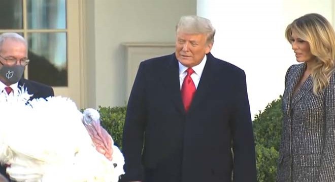 Trump, hindi affı töreninde Şükran Günü hindilerini affetti