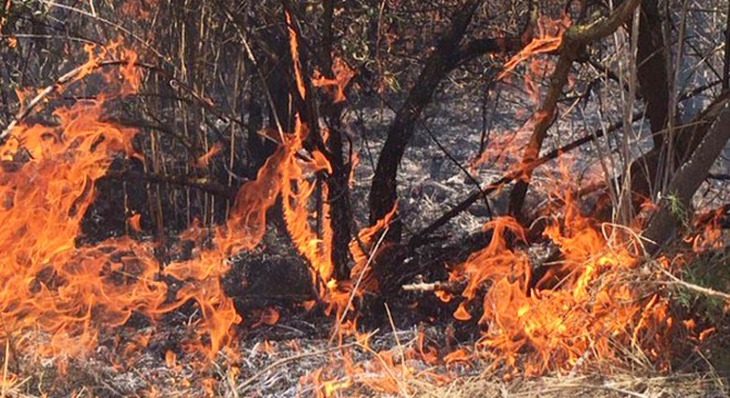 Turgutlu da 20 dönüm makilik alan yandı
