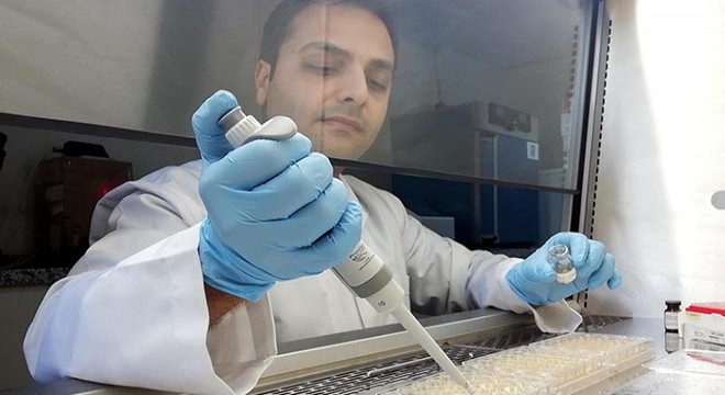 Türk bilim insanı, MS hastalığını engelleyecek ilaç üretti