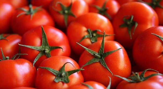 Tuz Gölü havzasının yeni alternatif ürünü domates oldu