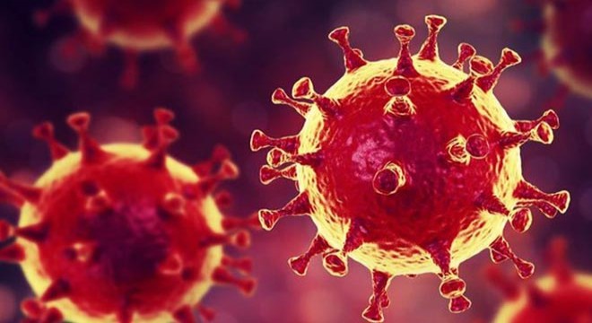 Ukrayna’da 4 bin 420 yeni koronavirüs vakası