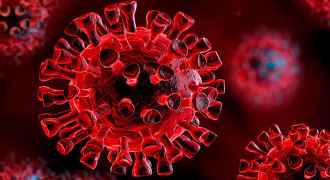 Ukrayna’da 4 bin 633 yeni koronavirüs vakası