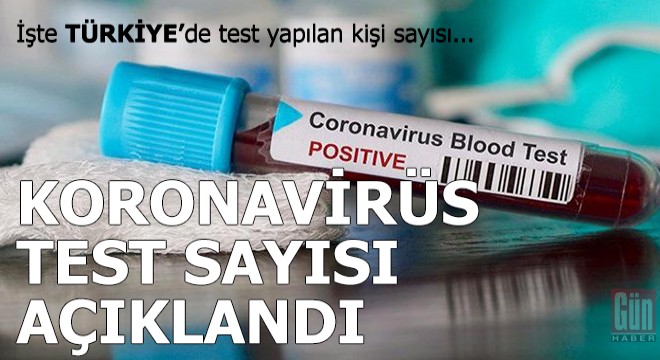 Ülkelerin yaptığı koronavirüs test sayısı açıklandı