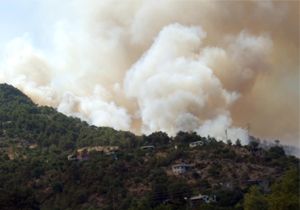 Kozan’da 30 hektar Kızılçam Ormanı yandı