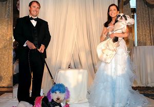 Köpekler için 250 bin dolarlık düğün