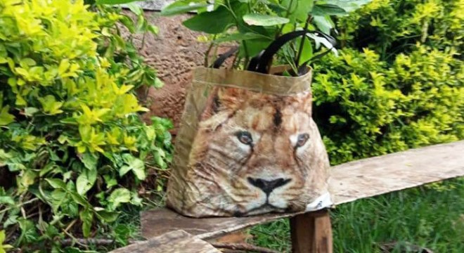 Üstünde aslan fotoğrafı olan çanta, Kenya’yı karıştırdı
