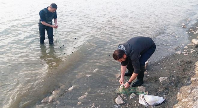 Van Gölü nde 100 metre uzatma ağı ve 10 kilo inci kefali bulundu