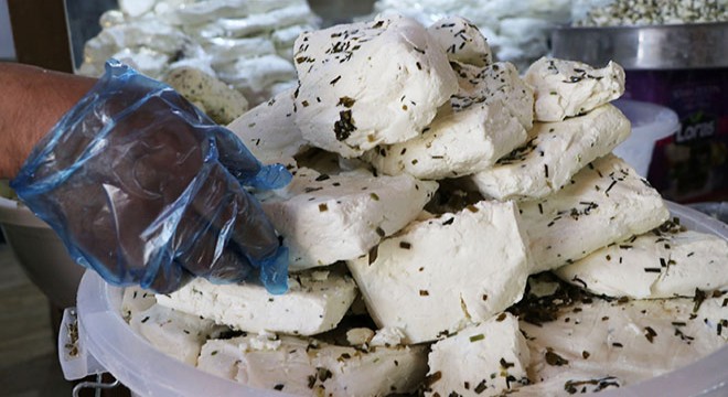 Van otlu peynirinin Avrupa ya pazarlanması için çalışma başlatıldı