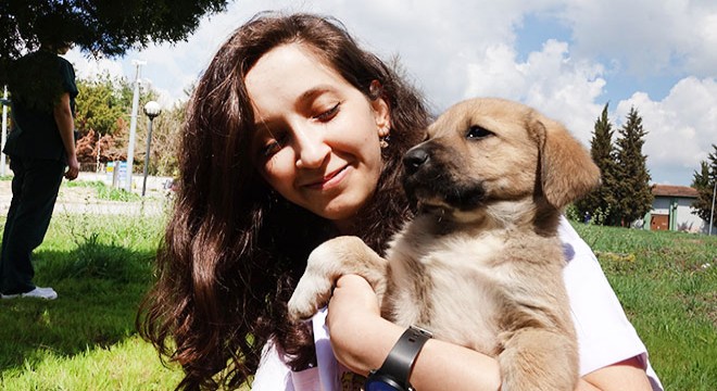 Veteriner Elif, yavru köpek ile annesini yalnız bırakmıyor