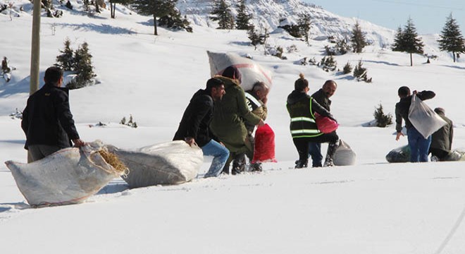 Yaban hayvanları için karda bata çıka yem taşıdılar